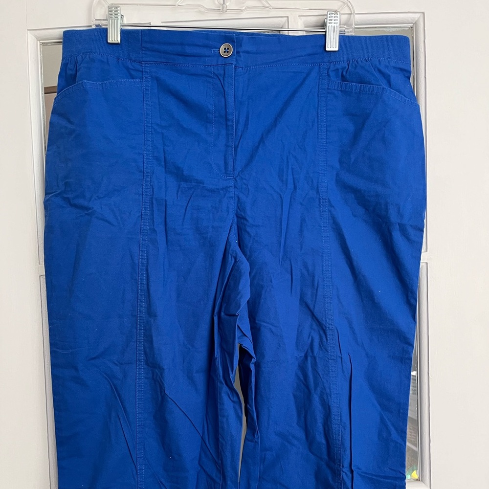 Chicos Capri Pants